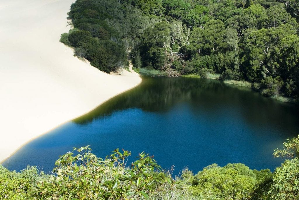 Best Fraser Island Tour From Rainbow Beach Noosa Brisbane Pippies