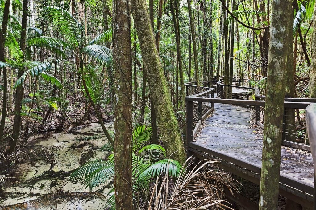 Fraser Island Tour Rain Fores Central Stationt